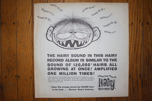 Weird-Oh's/Silly Surfers Inner Sleeve (Hairy Records 1964) | by Donald Deveau