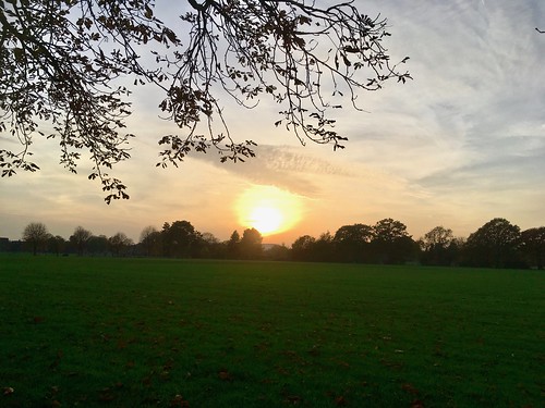 autumn sunset sky trees grass leaves iphone enfield nature outdoor