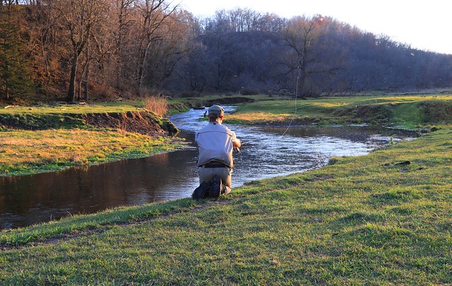 fly fishing for trout in Driftless Region IA  653A1142