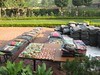 Winter Relief - Blanket distribution: Indore