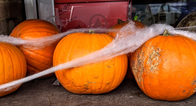 Web covered pumpkins at the store