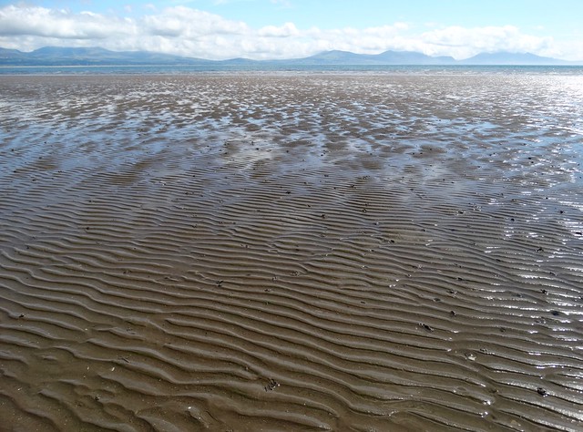 Sand ripples!