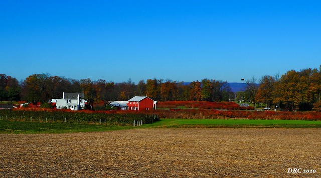Schmidt's Berry Farm in Fall