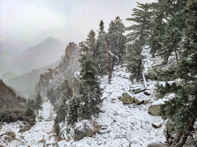 First snow, Palm Springs Aerial Tramway
