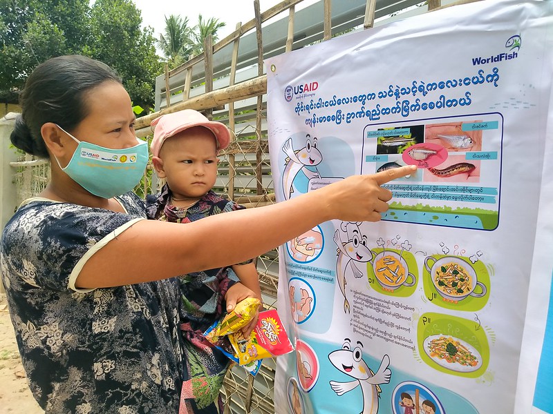  A mother and son look at posters on the importance of eating small indigenous fish in the first 1000 days of life. Photo by BRAC Myanmar.