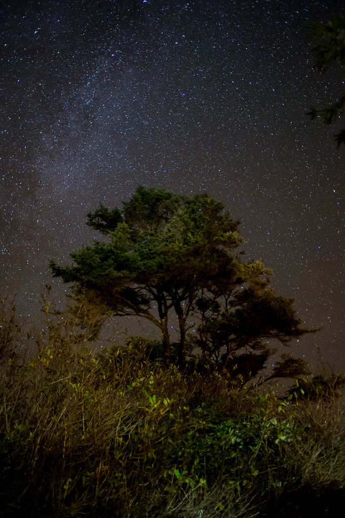 The Milky Way from Kalaloch 10-8-2020 #2 | Nikon D3S, Tokina… | Flickr