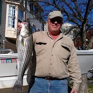 Photo of man with a striped bass