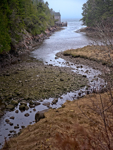 shoreline usa hancockcounty gouldsboro wharf plants pier water stream harbor house trees maine deck bay cottage on1raw seaweed dock ocean flickrfriday remote manipulations scenic locationrecorded architecture fog cove wonsqueakharbor cliff weather potager river unitedstates