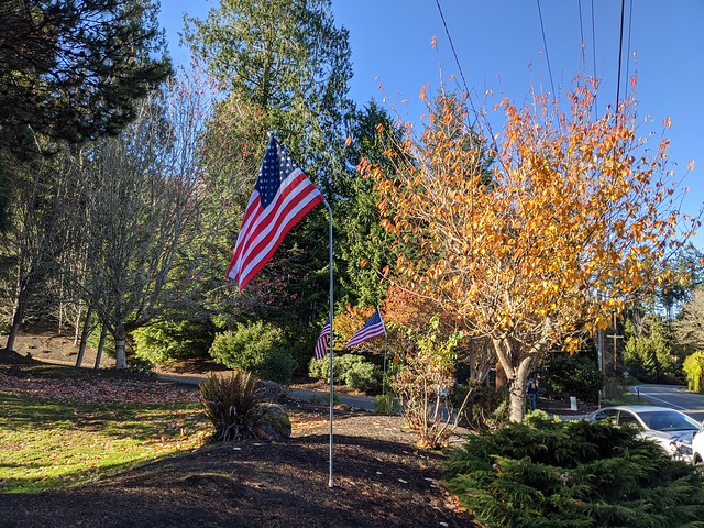 Port Ludlow WA - The Rotary Club of East Jefferson County - Veterans Day flags