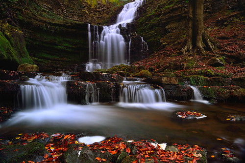 scaleber foss force waterfall cascade stepped settle yorkshire northyorkshire ribblesdale dales national park gorge green moss beck stream water river autumn fall beech leaves unitedkingdom greatbritain landscape imagestwiston godsowncountry limestone mystic magical le longexposure nisi nisifilters 3stop nd neutraldensity