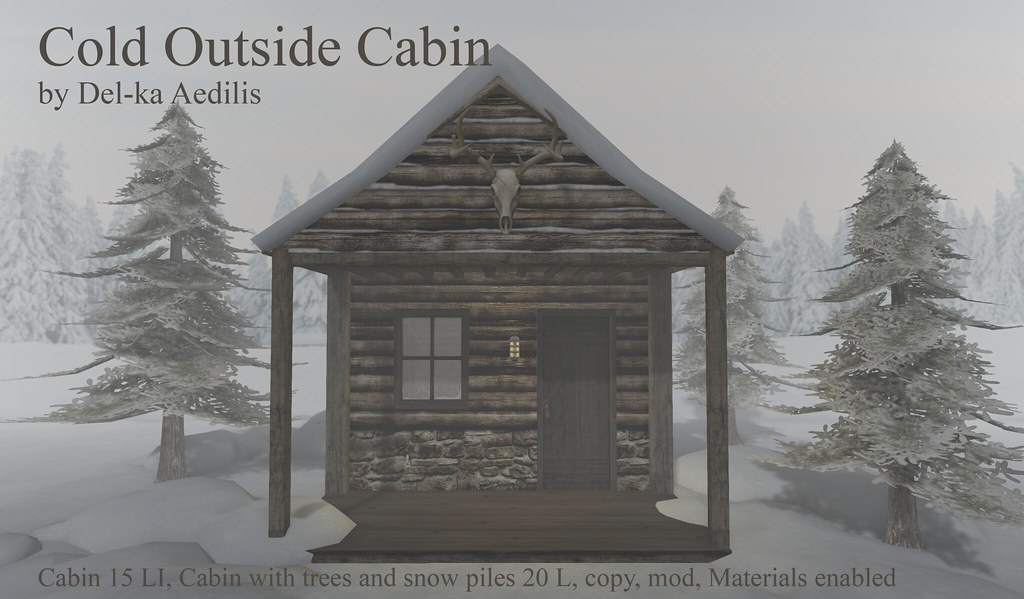 Cold Outside Cabin