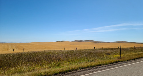 montana wheatfields prairie harvesttime