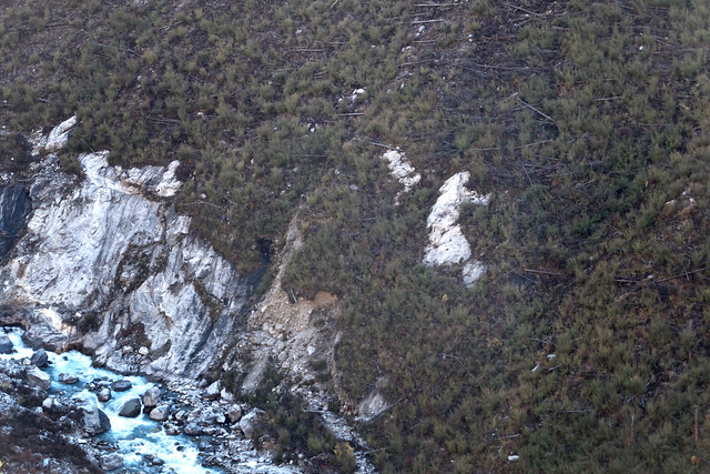 Trees lodged by storm caused by the avalanche after 2015 Earthquake