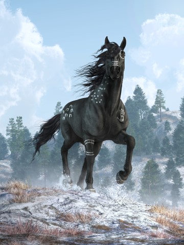 Black Horse in War Paint