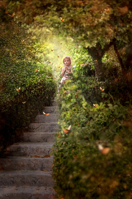 Butterfly Staircase