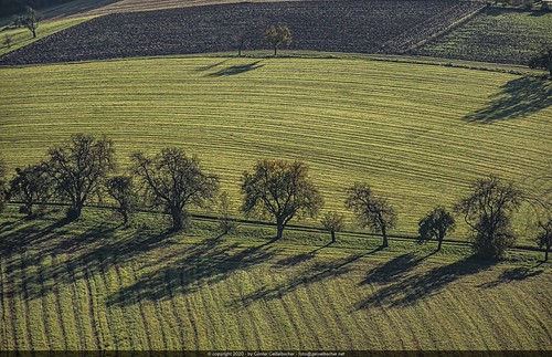 Fields & Trees - Light & Shadow / Balloon View by geiguefoto, Ballooning in Eastern Styriaebersdorf steiermark ã–sterreich