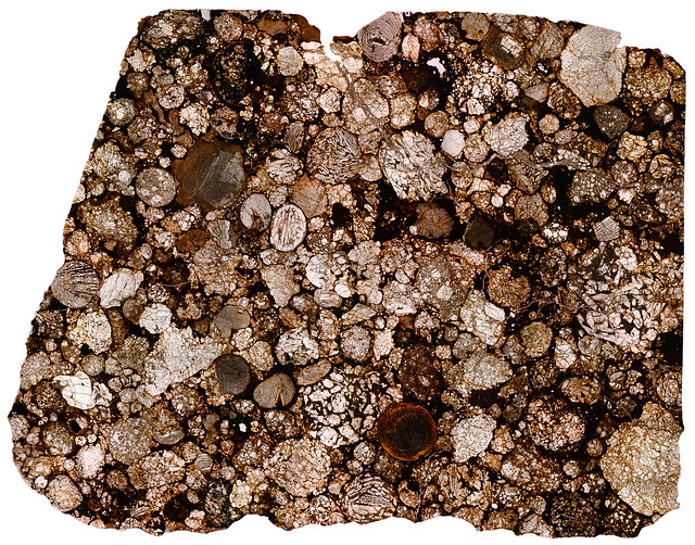 NWA 2892 Meteorite Thin Section - Gigapixel