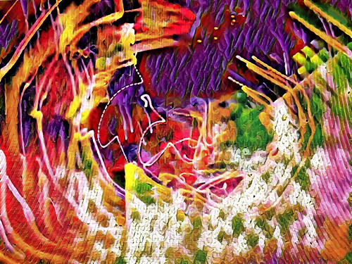 Funk. | by Steve.D.Hammond.