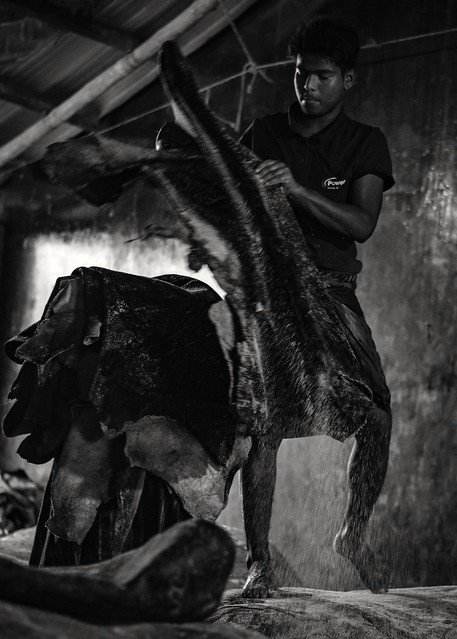Tannery Worker