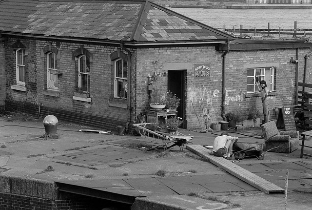 Surrey Docks Farm, Greenland Dock entrance, Rotherhithe, Southwark, 1984m 84-8f-33
