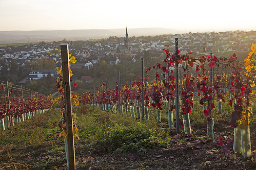 herbst landschaft ort weinberge herbstlaub kirche sonnenuntergang sunset church autumnleaves vineyards village landscape autumn