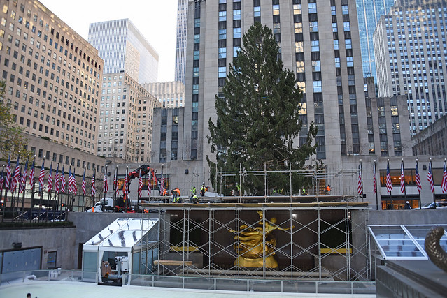 The 2020 Rockefeller Center Christmas Tree Was Delivered To Rockefeller Center In New York City On Saturday Morning November 14, 2020