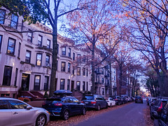 Park Slope in the Fall, Brooklyn NYC