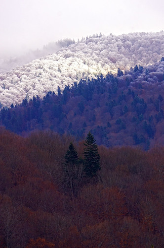 Layers by Dumby,                                landscape busteni romania nature colors autumn fall snow mountain for