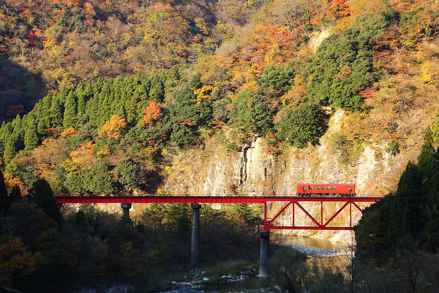 Small train running through autumn valley