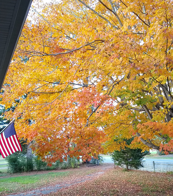 Fall in Delaware