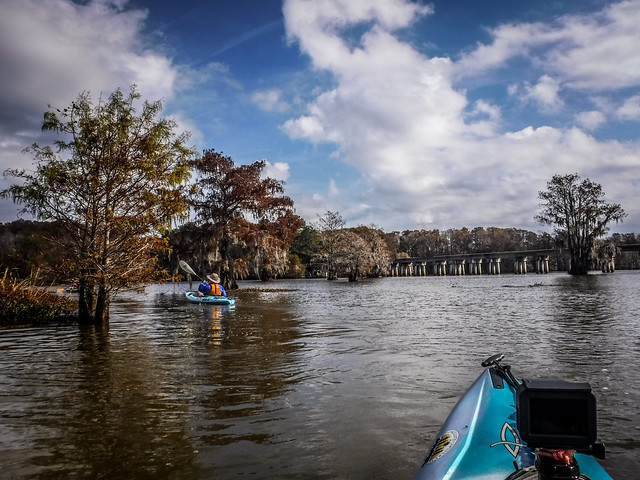 Lake Marion at Low Falls Landing