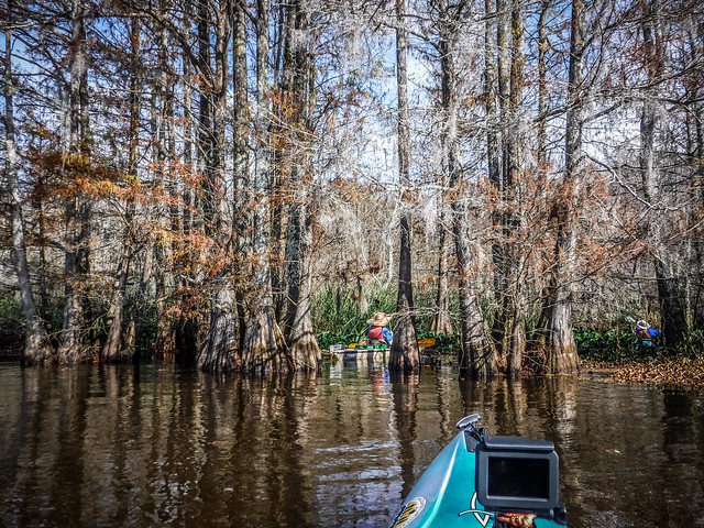 Lake Marion at Low Falls Landing