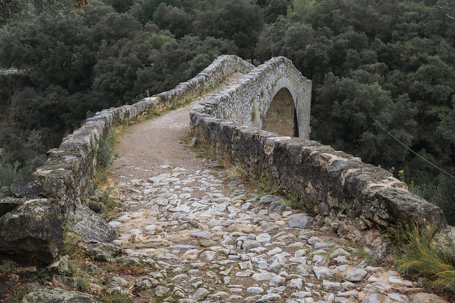 Pont del llierca 6