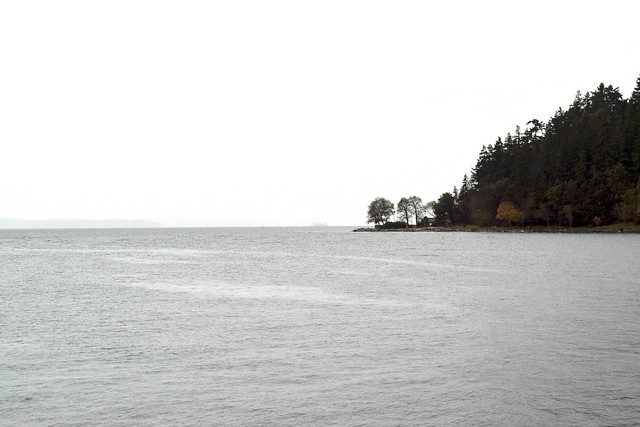 Gray Puget Sound  on the Ferry to Vashon Island
