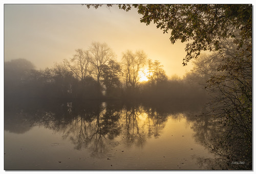 mist sunrise morning reflections pond water sun autumn