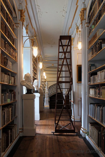 Bibliothèque Anna-Amélia