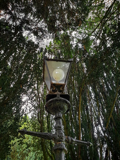 Narnian Lamppost