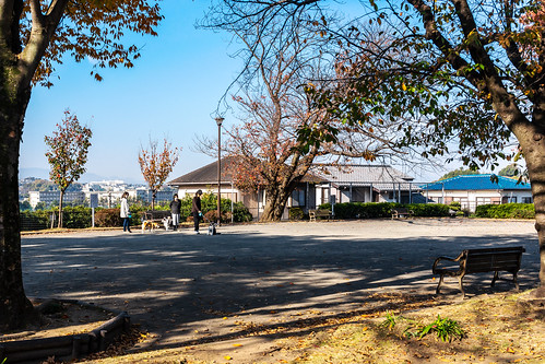 2020 autumn november japan kanagawa yokohama aoba ichigao city street landscape park zentojipark people dog sony α7c ilce7c sel35f28z