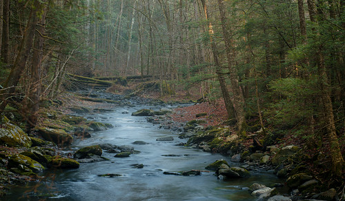 outside outdoors nature cold chilly light sunlight woods forest trees rural pennsylvania poconos early sunrise misty mist landscape autumn november pa roadtrip travel vacation sony alpha a7riii ilce7rm3 sel85f18 85mm shorttelephoto prime stream creek water rapids rocks logs moss delewaregap nps nationalparkservice park hiking adventure