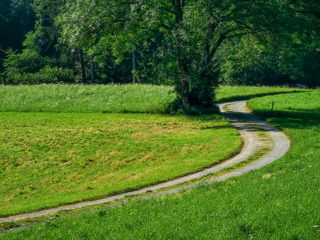 Field Meadow Pasture Curvy Gravel Road Track Summer Upper Bavaria Germany © Feld Wiese Feldweg Schotterpiste Kurve Sommer Bayern Oberbayern ©