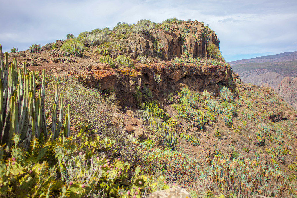 Cima del Roque del Conde en la isla de Tenerife
