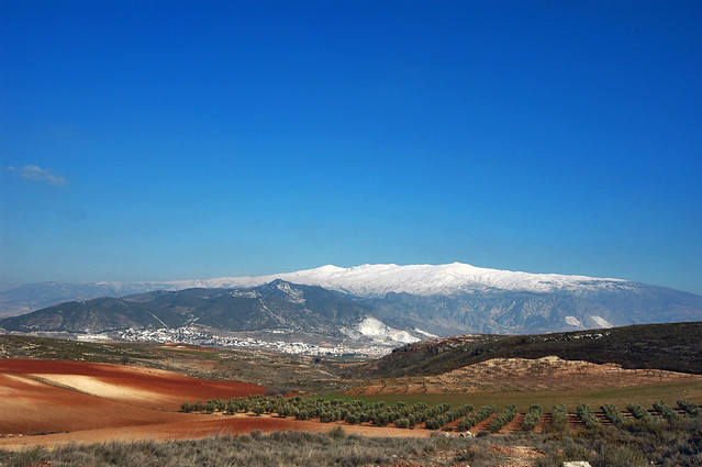 Views of the Sierra Nevada