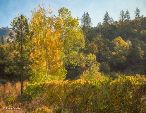 fallcolor california landscape canon5dmarkiii lightroom6 canonef24105mmf4lisusm eldoradocounty autumn fall autumncolor topazstudio