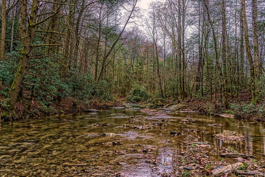 Cove Creek