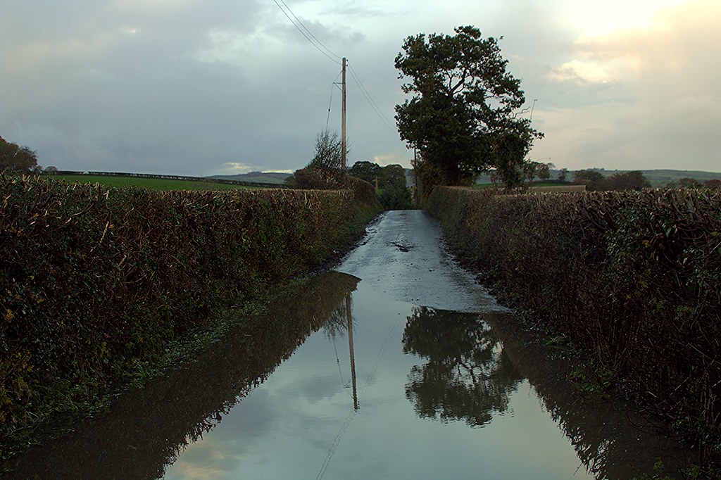 'Flooded Lane Reflections' - Betws yn Rhos, Conwy, North Wales - 3.11.2020