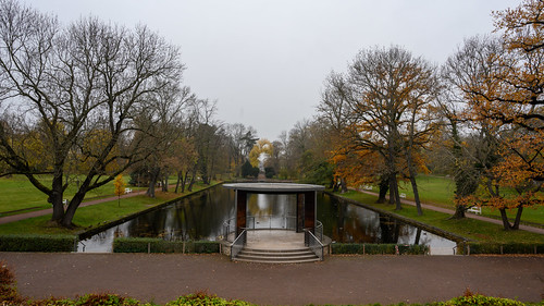 November gray | by manni0656