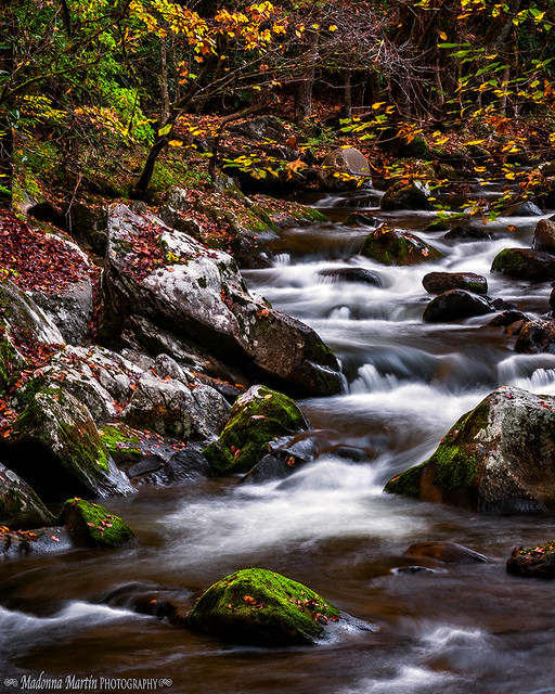 autumn gratitude along a mountain stream