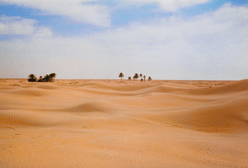 Douz TN - Grand Erg Oriental Gateway to the Sahara 04