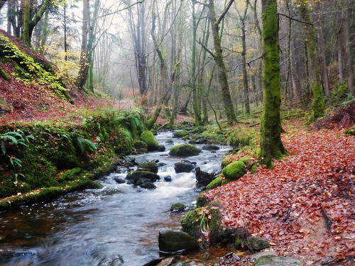 ericrobbniven scotland dundee dunkeld birnam landscape perthshire river autumn landscapes