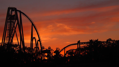 sunset dusk silhouette rollercoaster themepark buschgardens florida